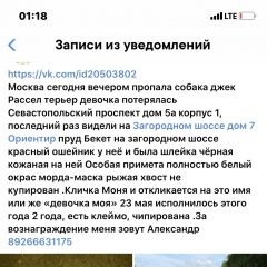 Подробнее об объявлении «Пропала собака потерялась наша любимица домашняя собака Москва» Фото: пропала собака Джек рассел терьер «Пропала собака потерялась наша любимица...» в г. Москва