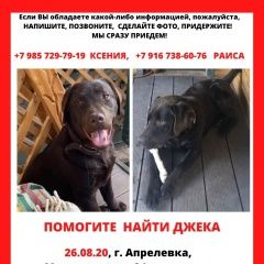 Подробнее об объявлении «Апрелевка Пропала собака кобель помогите найти моего малыша» Фото: пропала собака Лабрадор ретривер «Апрелевка Пропала собака кобель помогите найти...» в г. Апрелевка
