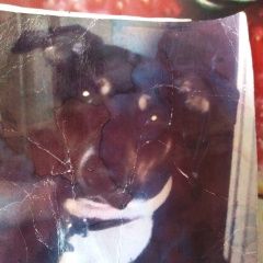 ����: ������� ������ ������������ ��������������� ������ �������� ������ ����� ��������� ������ � �. ������