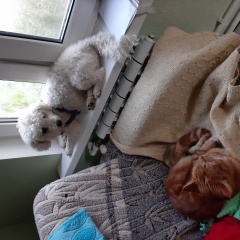 ����: ������� ������ ������ �������� ������� ������ � �. �������