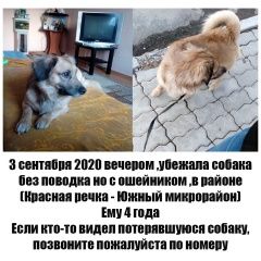 Подробнее об объявлении «Пропала собака кобель Хабаровск» Фото: пропала собака Такса «Пропала собака кобель Хабаровск» в г. Хабаровск