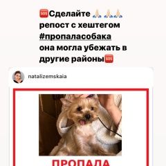 Подробнее об объявлении «Пропала собака помогите найти собаку Москва» Фото: пропала собака Йоркширский терьер «Пропала собака помогите найти собаку Москва» в г. Москва