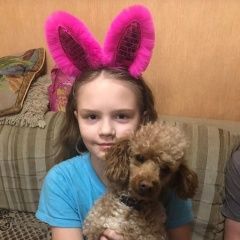 Подробнее об объявлении «Оренбург Пропала собака кобель» Фото: пропала собака Пудель «Оренбург Пропала собака кобель» в г. Оренбург