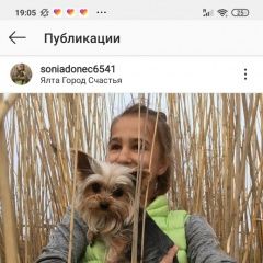 Подробнее об объявлении «Пропала собака помогите.. Симферополь» Фото: пропала собака  «Пропала собака помогите.. Симферополь» в г. Симферополь