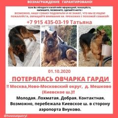 Подробнее об объявлении «Пропала собака вознаграждение Москва» Фото: пропала собака Немецкая овчарка «Пропала собака вознаграждение Москва» в г. Москва