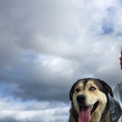 Подробнее об объявлении «Анапа Пропала собака кобель» Фото: пропала собака Сибирская хаски «Анапа Пропала собака кобель» в г. Анапа