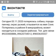 Подробнее об объявлении «Ачинск Пропала собака вознагрождение» Фото: пропала собака Той-терьер «Ачинск Пропала собака вознагрождение» в г. Ачинск