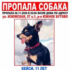 Подробнее об объявлении «Пропала собака в южном бутово Москва» Фото: пропала собака  «Пропала собака в южном бутово Москва» в г. Москва