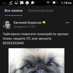 Подробнее об объявлении «Пропала собака кобель алекс Адлер» Фото: пропала собака Пекинес «Пропала собака кобель алекс Адлер» в г. Адлер