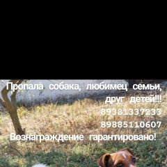 Подробнее об объявлении «Ростов-на-Дону Пропала собака кобель» Фото: пропала собака Джек рассел терьер «Ростов-на-Дону Пропала собака кобель» в г. Ростов-на-Дону