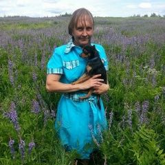 Подробнее об объявлении «Пропала собака кобель.. Москва» Фото: пропала собака Русский той-терьер «Пропала собака кобель.. Москва» в г. Москва