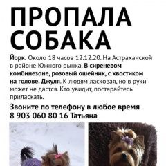 Подробнее об объявлении «Анапа Пропала собака..» Фото: пропала собака Йоркширский терьер «Анапа Пропала собака..» в г. Анапа