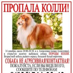 ����: ������� ������ ����� �������� ������� ������ ������ �����, ������,...� � �. �������