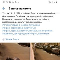 Подробнее об объявлении «Пропала собака кобель 22 декабря 2020 Санкт-Петербург» Фото: пропала собака Курцхаар «Пропала собака кобель 22 декабря 2020...» в г. Санкт-Петербург