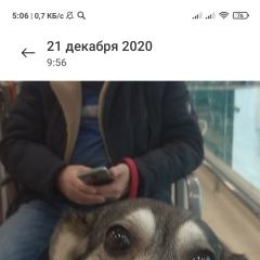 Подробнее об объявлении «Волгоград Пропала собака район спартановка» Фото: пропала собака  «Волгоград Пропала собака район спартановка» в г. Волгоград
