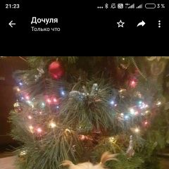 Подробнее об объявлении «Шахты Пропала собака кобель» Фото: пропала собака  «Шахты Пропала собака кобель» в г. Шахты