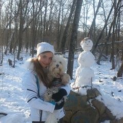 Подробнее об объявлении «Краснодар Пропала собака кобель белой болонки» Фото: пропала собака  «Краснодар Пропала собака кобель белой болонки» в г. Краснодар