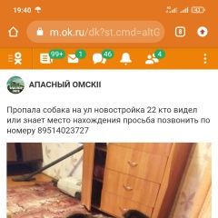 Подробнее об объявлении «Омск Пропала собака кобель» Фото: пропала собака  «Омск Пропала собака кобель» в г. Омск