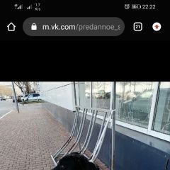Подробнее об объявлении «Пропала собака кобель Новороссийск» Фото: пропала собака Курцхаар «Пропала собака кобель Новороссийск» в г. Новороссийск