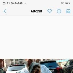 Подробнее об объявлении «Пропала собака кобель собака потерялась в районе ксм Сочи» Фото: пропала собака Йоркширский терьер «Пропала собака кобель собака потерялась в...» в г. Сочи