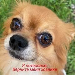 ����: ������� ������ �������� ������������ ������� ������ ������ 1 ������...� � �. �����������