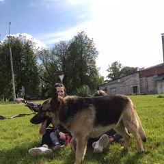 Подробнее об объявлении «Пропала собака кобель Нижний Новгород» Фото: пропала собака Немецкая овчарка «Пропала собака кобель Нижний Новгород» в г. Нижний Новгород