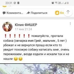 Подробнее об объявлении «Подольск Пропала собака кобель овчарка мальчик» Фото: пропала собака Немецкая овчарка «Подольск Пропала собака кобель овчарка мальчик» в г. Подольск