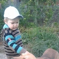 Подробнее об объявлении «Пропала собака кобель русская гончая (охотничья) Апшеронск» Фото: пропала собака Гончая «Пропала собака кобель русская гончая...» в г. Апшеронск