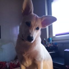 ����: ������� ������  ������� ������� ������ ������� � �. ������