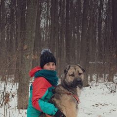 Подробнее об объявлении «Пропала собака кобель украли и отдали Воронеж» Фото: пропала собака Среднеазиатская овчарка «Пропала собака кобель украли и отдали Воронеж» в г. Воронеж