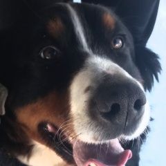 ����: ������� ������ �������� �������� ������ �������� ������� ������ ������ � �. �������