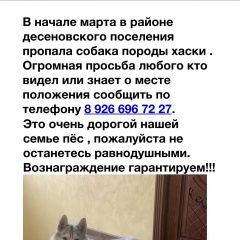 Подробнее об объявлении «Пропала собака кобель породы хаски Троицк» Фото: пропала собака Сибирская хаски «Пропала собака кобель породы хаски Троицк» в г. Троицк
