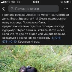Подробнее об объявлении «Пропала собака кобель Сергиев Посад» Фото: пропала собака Дратхаар «Пропала собака кобель Сергиев Посад» в г. Сергиев Посад