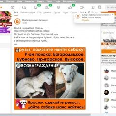 Подробнее об объявлении «Пропала собака кобель Смоленск» Фото: пропала собака Русская псовая борзая «Пропала собака кобель Смоленск» в г. Смоленск