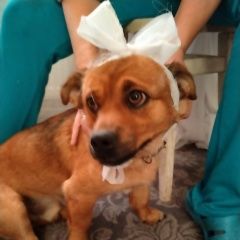 ����: ������� ������  �������� ������� ������ ������ �������� � �. �������