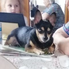 ����: ������� ������ ������� ���-������ �������� ������� ������ ������ ��� ������ ���� � �. �������