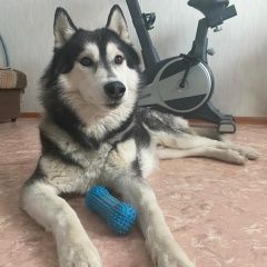 ����: ������� ������ ��������� ����� ���������� ������� ������ ������ ��������� ����� � �. ���������