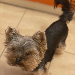 ����: ������� ������ ����������� ������ ���� ������� ������ ������� � �. ���