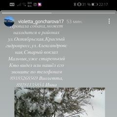 Подробнее об объявлении «Пропала собака кобель Таганрог» Фото: пропала собака  «Пропала собака кобель Таганрог» в г. Таганрог