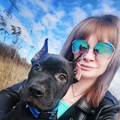 Подробнее об объявлении «Пропала собака кобель пушкинский район славянка ростовская. 9м Санкт-Петербург» Фото: пропала собака  «Пропала собака кобель пушкинский район славянка...» в г. Санкт-Петербург