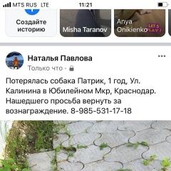 Подробнее об объявлении «Пропала собака кобель 1 год патрик Краснодар» Фото: пропала собака Чихуахуа «Пропала собака кобель 1 год патрик Краснодар» в г. Краснодар