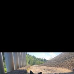 Подробнее об объявлении «Пропала собака кобель пес по кличке чак Зеленоград» Фото: пропала собака  «Пропала собака кобель пес по кличке чак Зеленоград» в г. Зеленоград