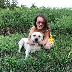 Подробнее об объявлении «Пропала собака кобель лабрадор Таганрог» Фото: пропала собака  «Пропала собака кобель лабрадор Таганрог» в г. Таганрог