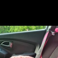 Подробнее об объявлении «Пропала собака йорк. в 22.00 Истра» Фото: пропала собака Йоркширский терьер «Пропала собака йорк. в 22.00 Истра» в г. Истра