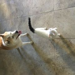 ����: ������� ������ �����-��� �������� ������ ������ ����� ����. ������� ����...� � �. ������