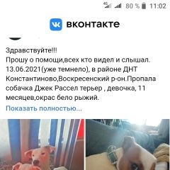 Подробнее об объявлении «Пропала собака джек рассел терьер девочка Воскресенск» Фото: пропала собака Джек рассел терьер «Пропала собака джек рассел терьер девочка...» в г. Воскресенск