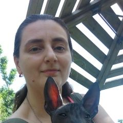 Подробнее об объявлении «Пропала собака кобель мартин Москва» Фото: пропала собака  «Пропала собака кобель мартин Москва» в г. Москва