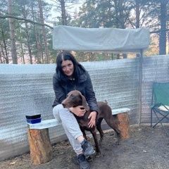 Подробнее об объявлении «Пропала собака девочка курцхаар красная дубрава Орехово-Зуево» Фото: пропала собака Курцхаар «Пропала собака девочка курцхаар красная дубрава...» в г. Орехово-Зуево