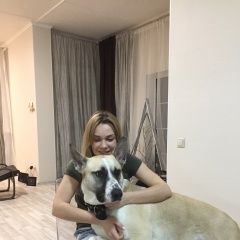 Подробнее об объявлении «Пропала собака кобель Истра» Фото: пропала собака  «Пропала собака кобель Истра» в г. Истра