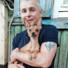 Подробнее об объявлении «Омск Пропала собака кобель» Фото: пропала собака Той-терьер «Омск Пропала собака кобель» в г. Омск